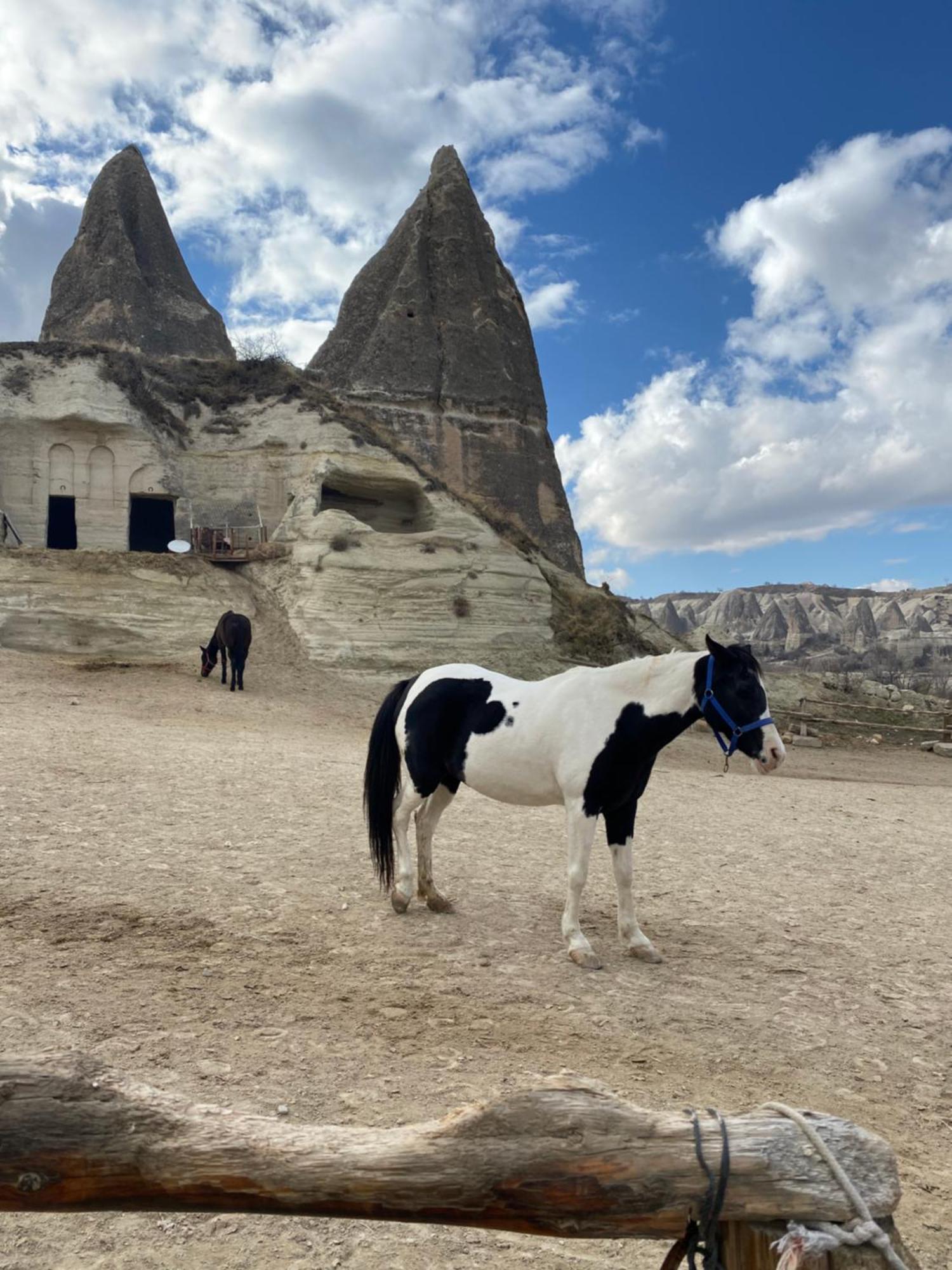 Sinasos Evleri Hotel Nevşehir Bagian luar foto